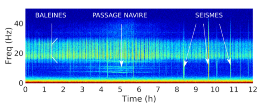Soundscape